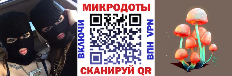 закладка  Шебекино  Псилоцибиновые грибы Psilocybe 
