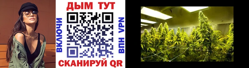 Конопля THC 21% Шебекино